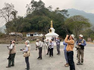 photography and wildlife.